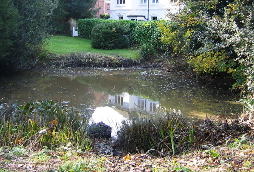 Tunbridge Wells & Rusthall Commons