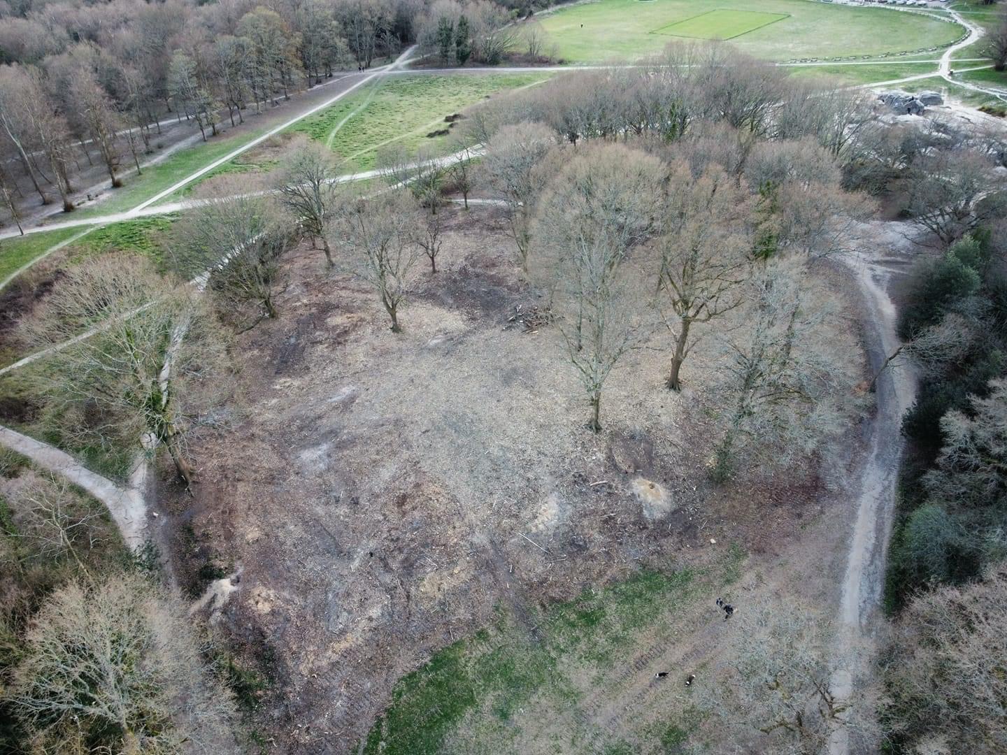 Scrub clearance behind Wellington Rocks April 21