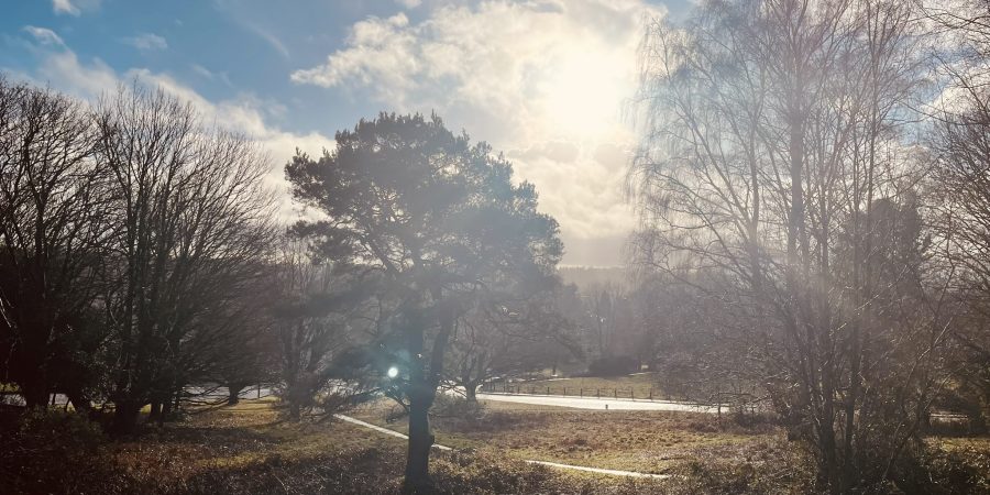 A beautiful new view through from Mount Ephraim to the lower cricket pitch.