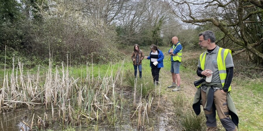 Surveying the Marlpit ponds on Rusthall Common