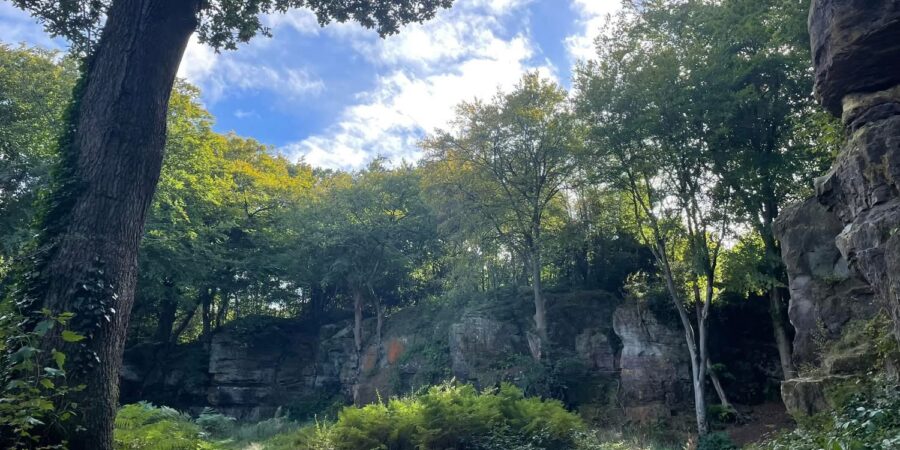 Bulls Hollow rocks in the sunshine.