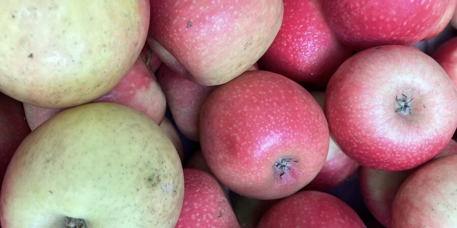 Image of apples