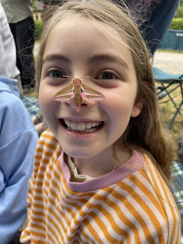 elephant hawkmoth on girl's nose