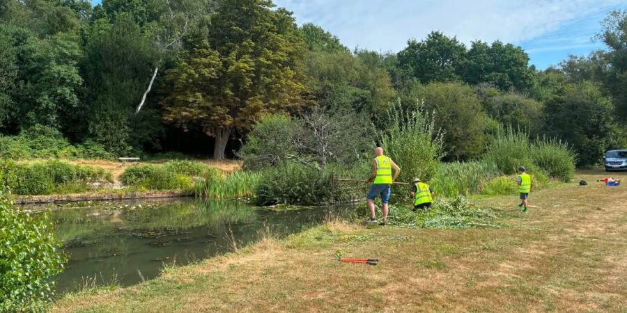 People working to clear a pond.