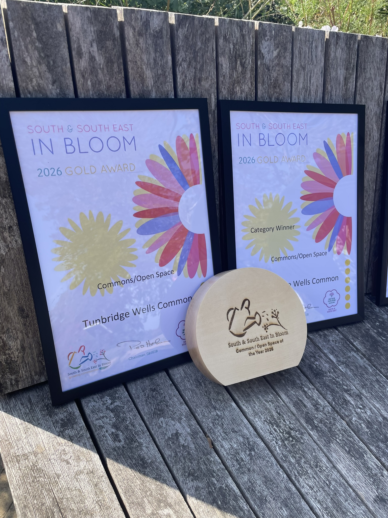 In Bloom certificates and wooden trophy set out on a bench.